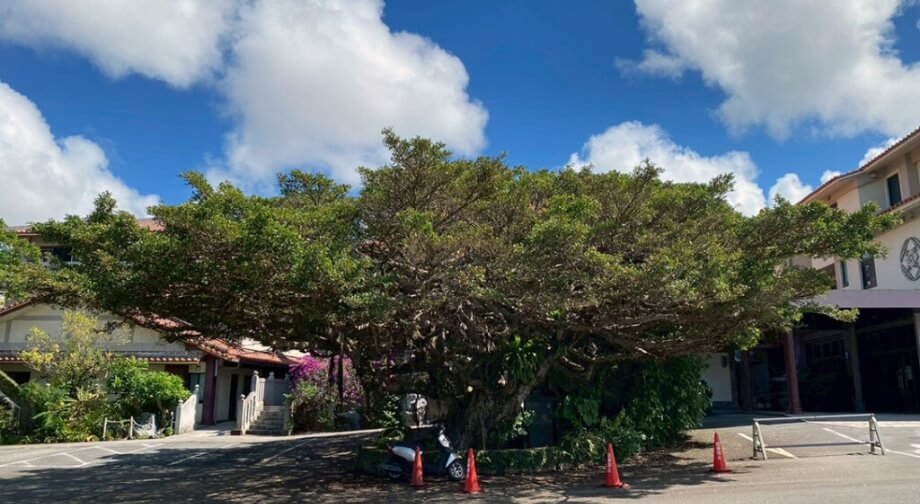 安国寺